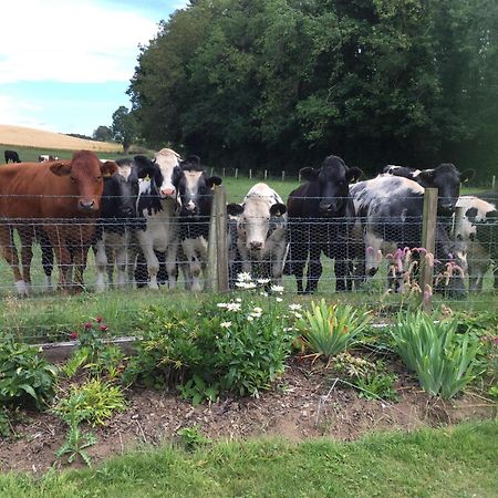 Retreat At The Knowe Auchincruive Estate Bed & Breakfast Ayr Exterior photo