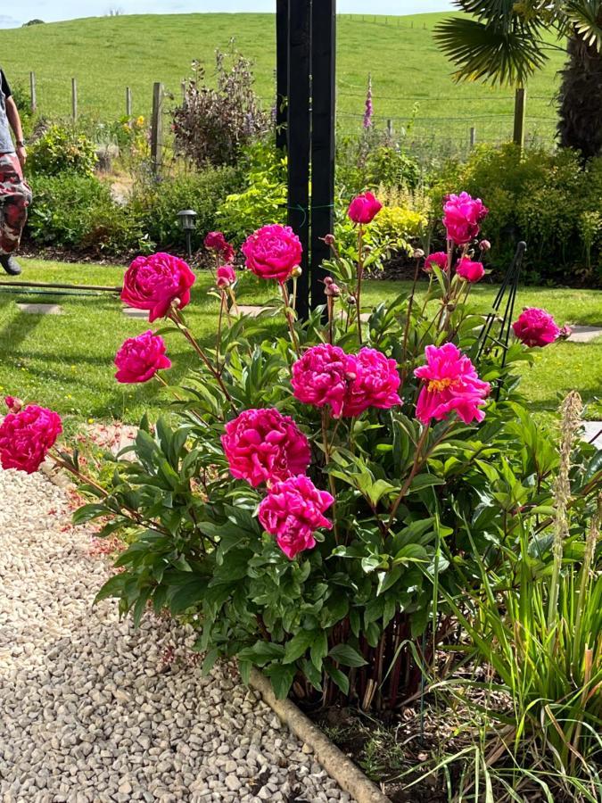 Retreat At The Knowe Auchincruive Estate Bed & Breakfast Ayr Exterior photo