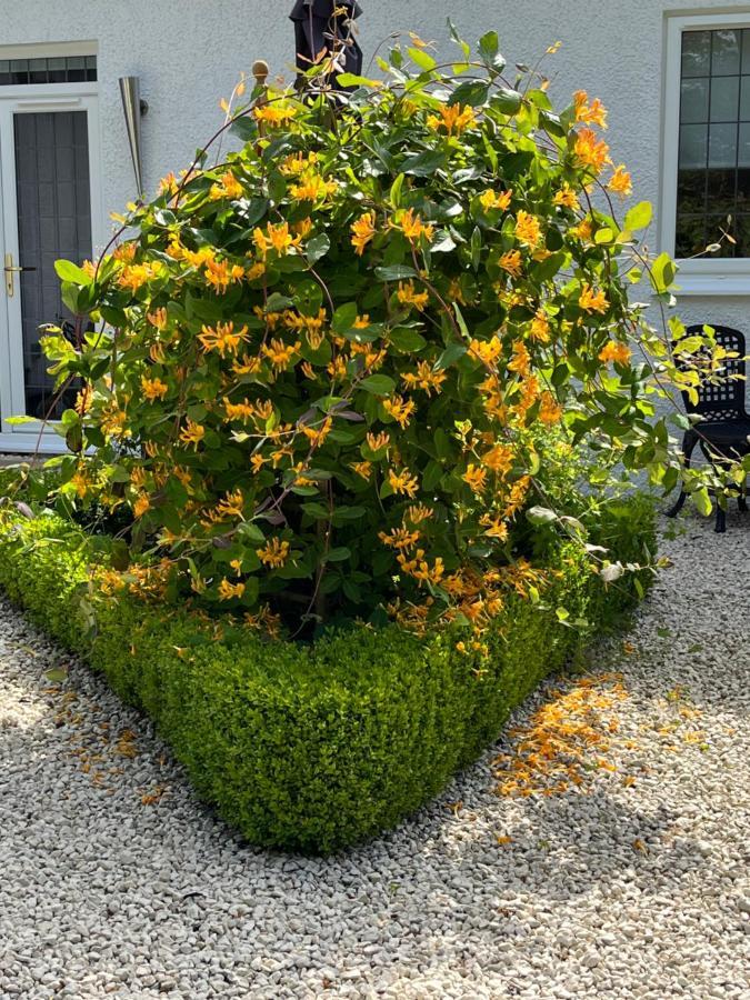 Retreat At The Knowe Auchincruive Estate Bed & Breakfast Ayr Exterior photo