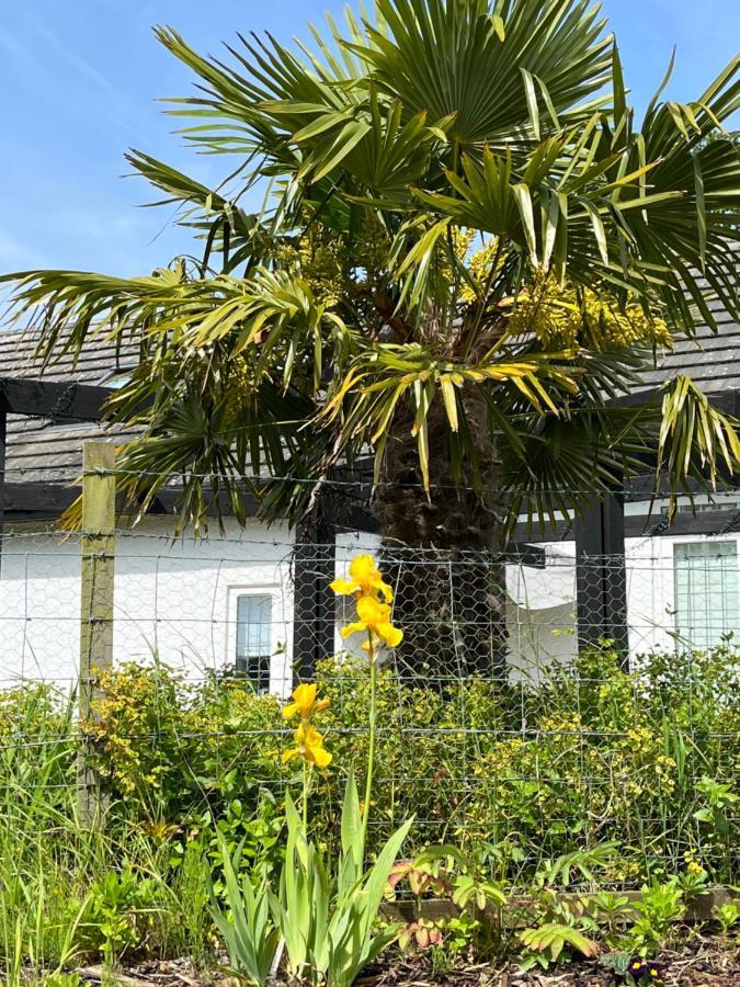 Retreat At The Knowe Auchincruive Estate Bed & Breakfast Ayr Exterior photo