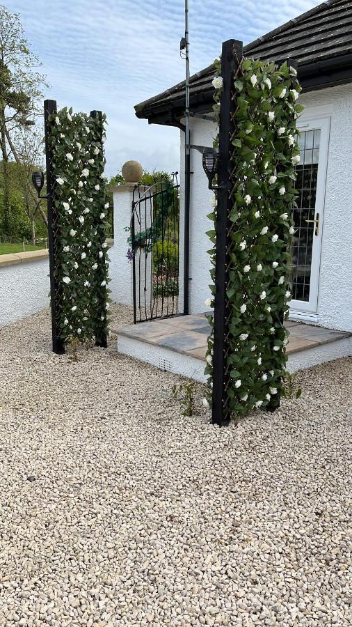 Retreat At The Knowe Auchincruive Estate Bed & Breakfast Ayr Exterior photo
