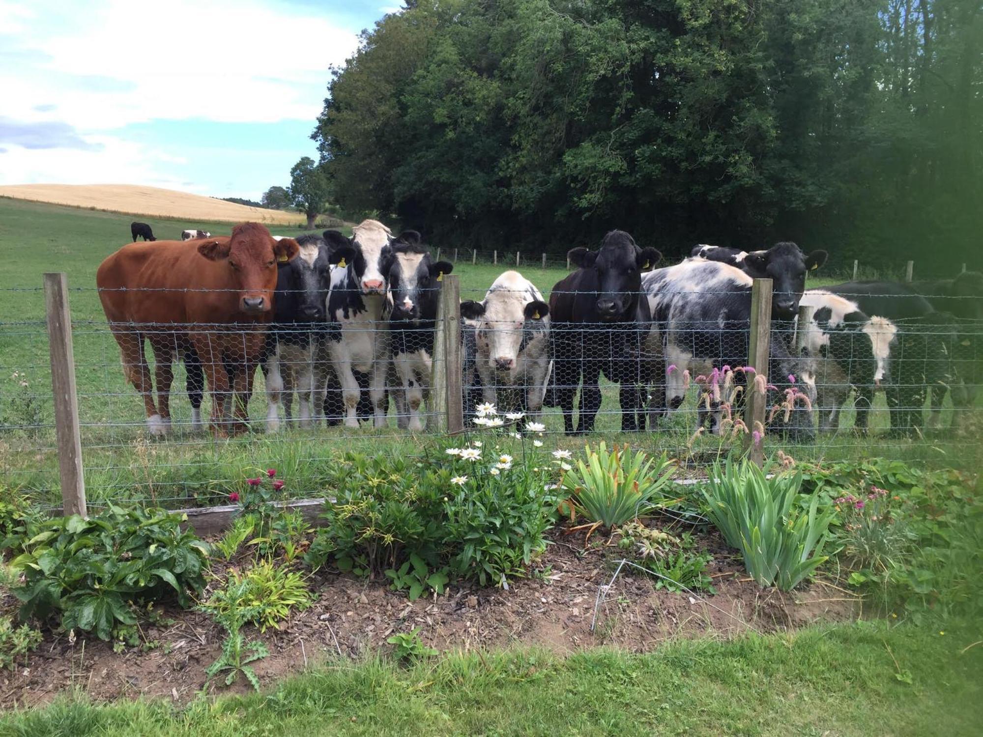 Retreat At The Knowe Auchincruive Estate Bed & Breakfast Ayr Exterior photo