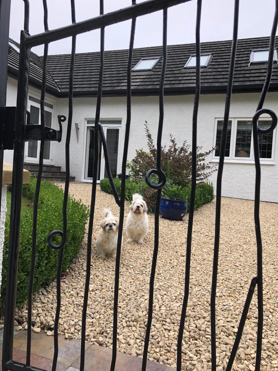 Retreat At The Knowe Auchincruive Estate Bed & Breakfast Ayr Exterior photo
