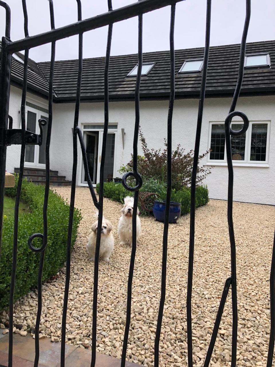 Retreat At The Knowe Auchincruive Estate Bed & Breakfast Ayr Exterior photo