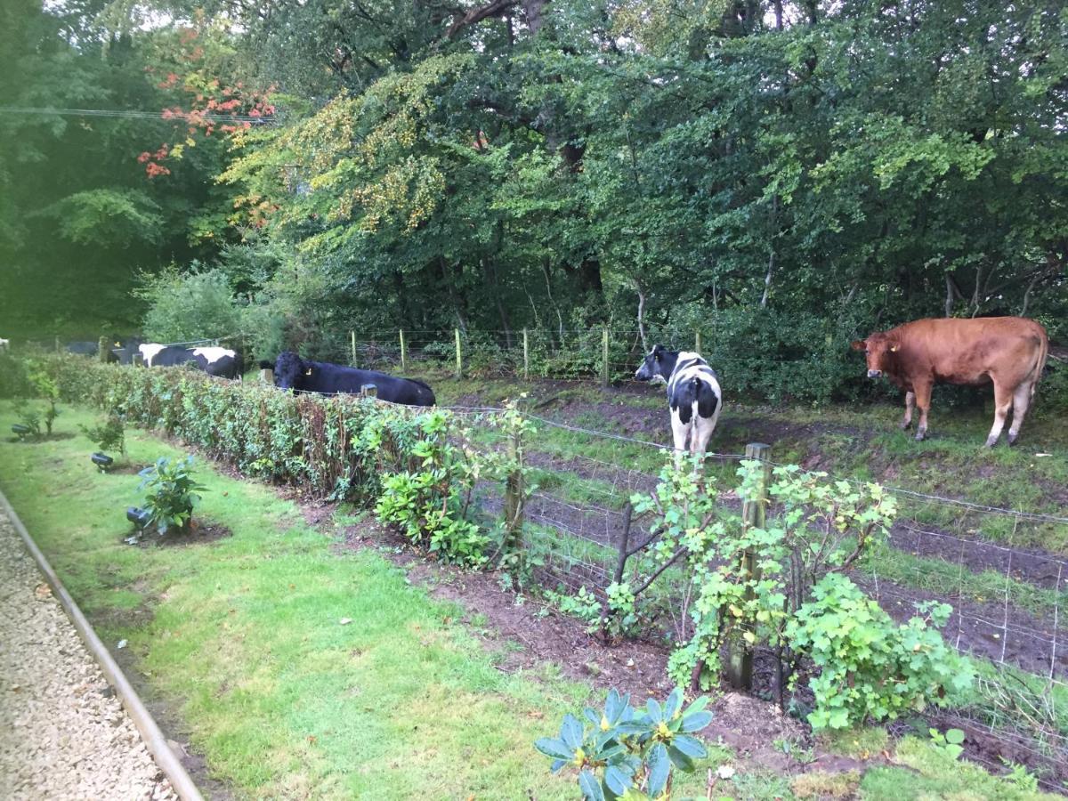 Retreat At The Knowe Auchincruive Estate Bed & Breakfast Ayr Exterior photo